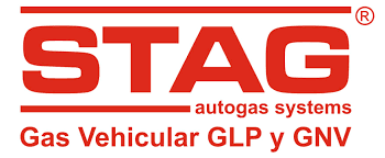 Logo STAG